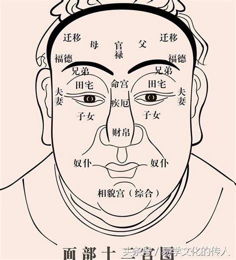 福堂 面相|相学经典：《麻衣相法》面相十二宫图文详解大全